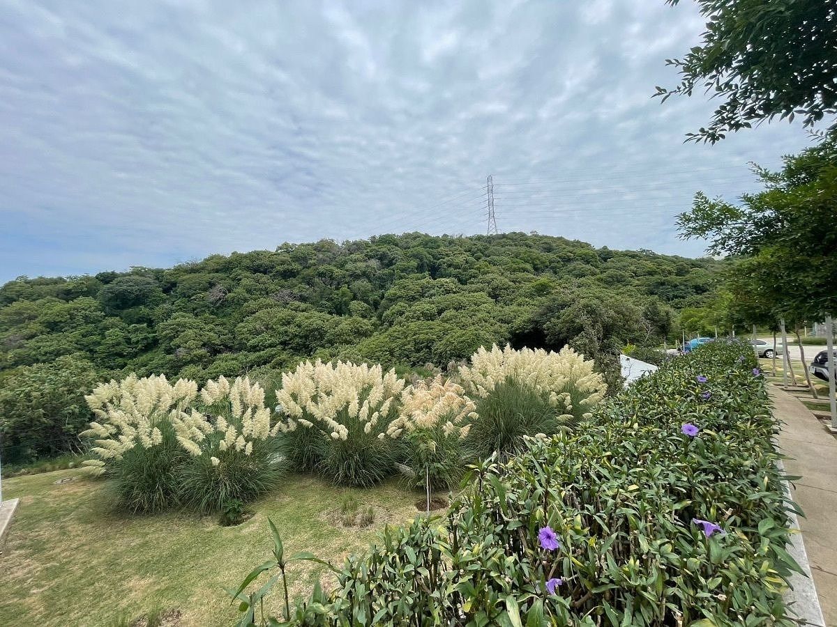 Lot in Colinas de San Isidro, Zapopan, photo 4 of 12