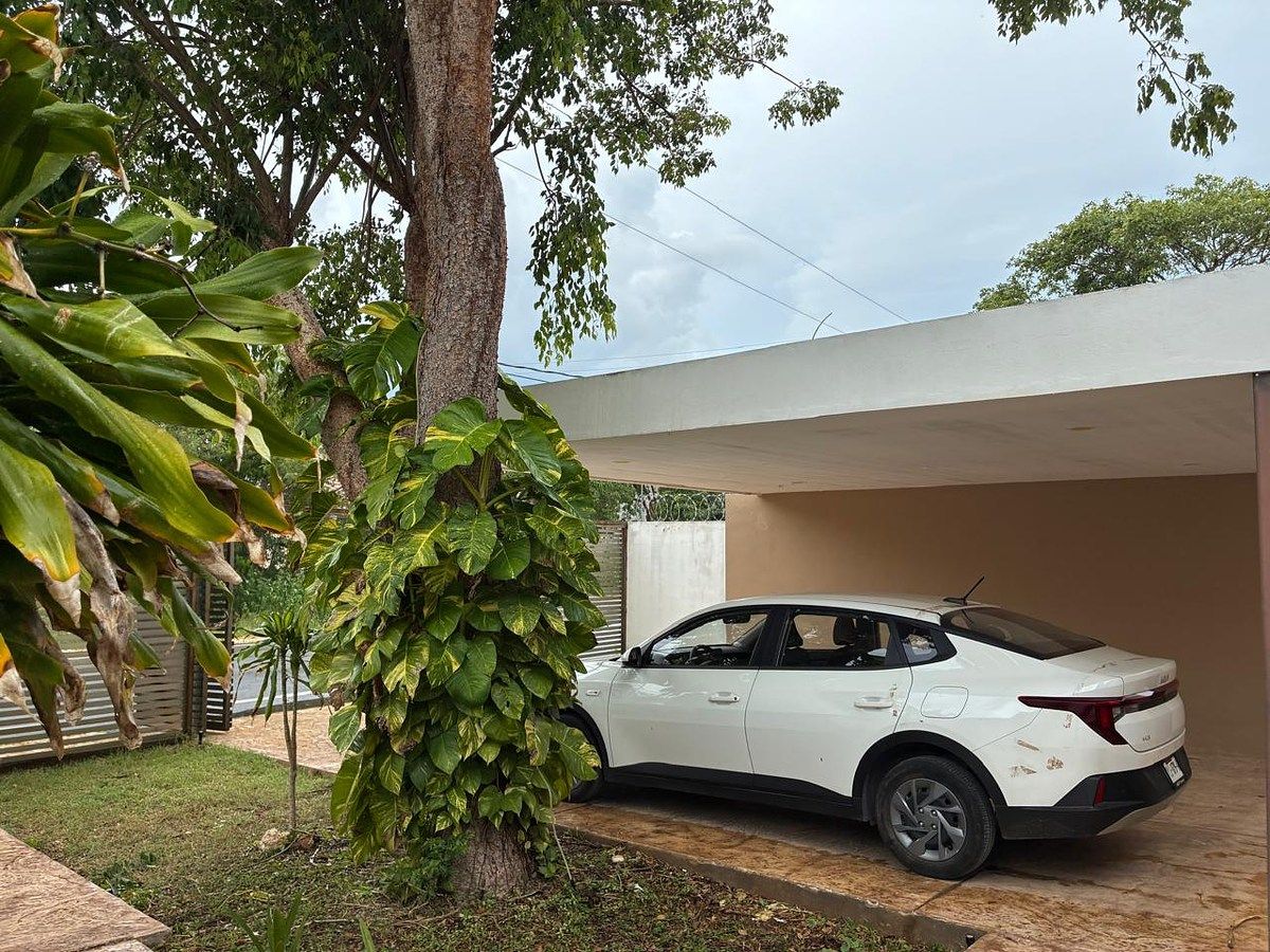 Spacious and comfortable house in DZITYA, photo 1 of 15