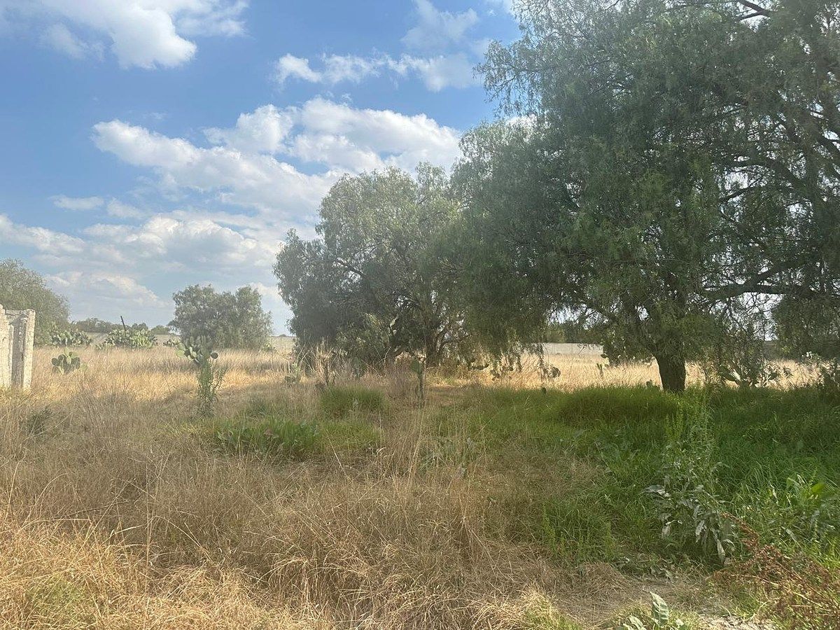 Lote em San Miguel, Zumpango, foto 7 de 10