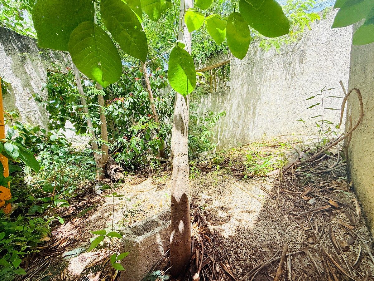 Lot in El Porvenir, Mérida, photo 6 of 7