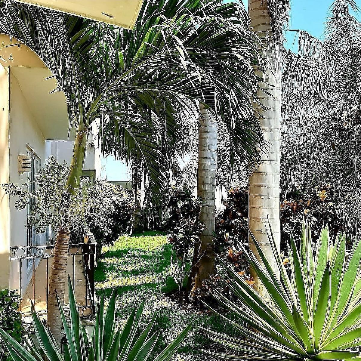 Departamento en Montebello, Mérida, foto 5 de 24
