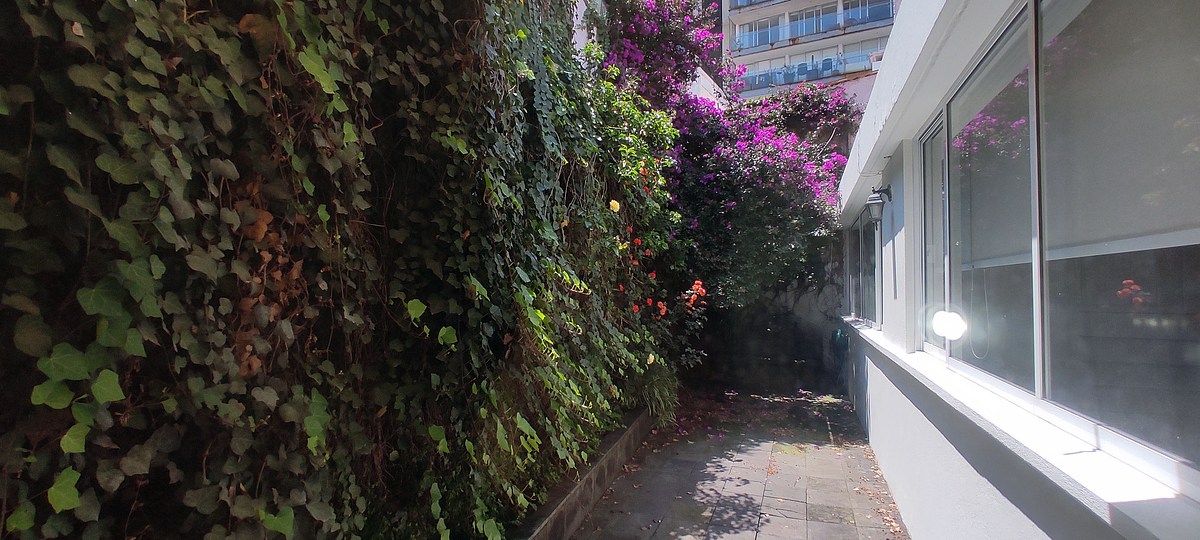 Casa en Lomas de Reforma, Miguel Hidalgo, foto 25 de 25