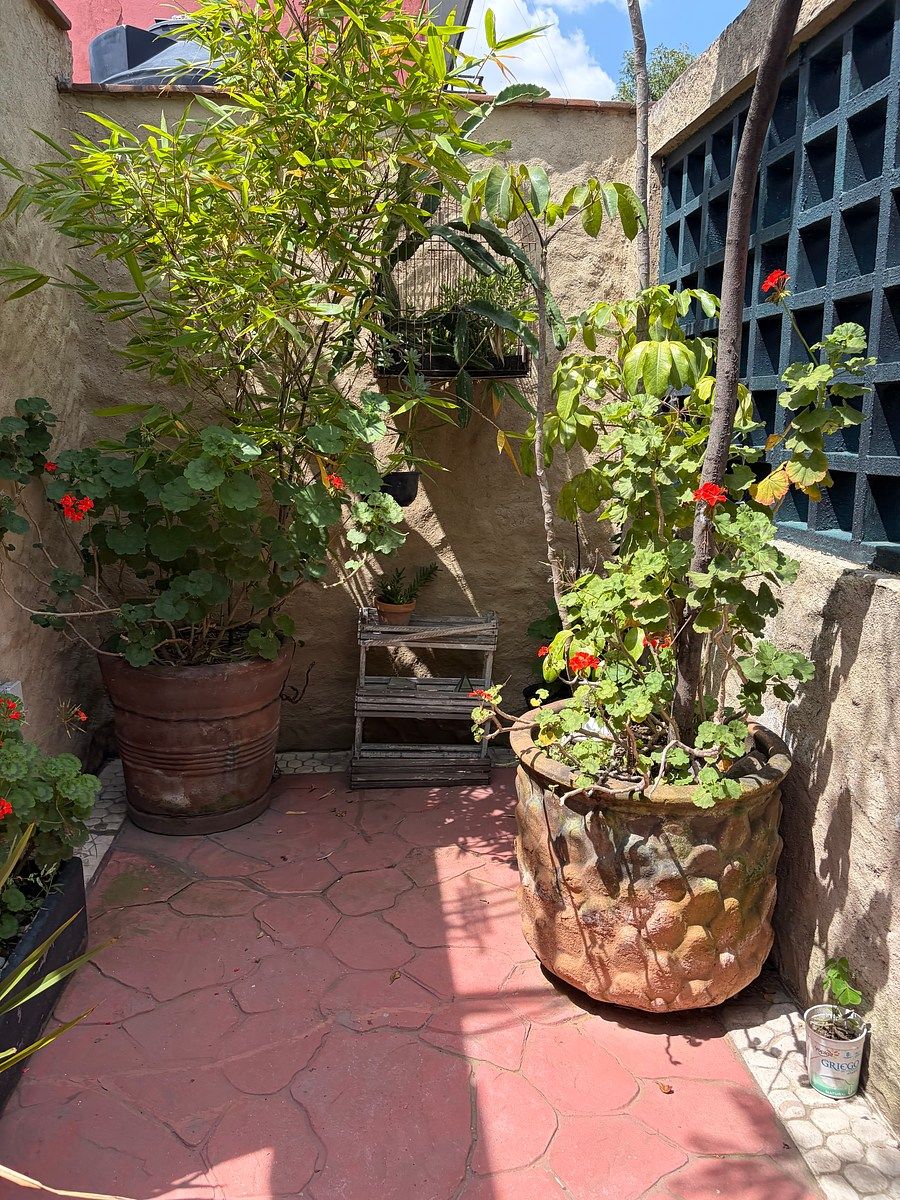 Departamento en Colonia Condesa, Cuauhtémoc, foto 3 de 7