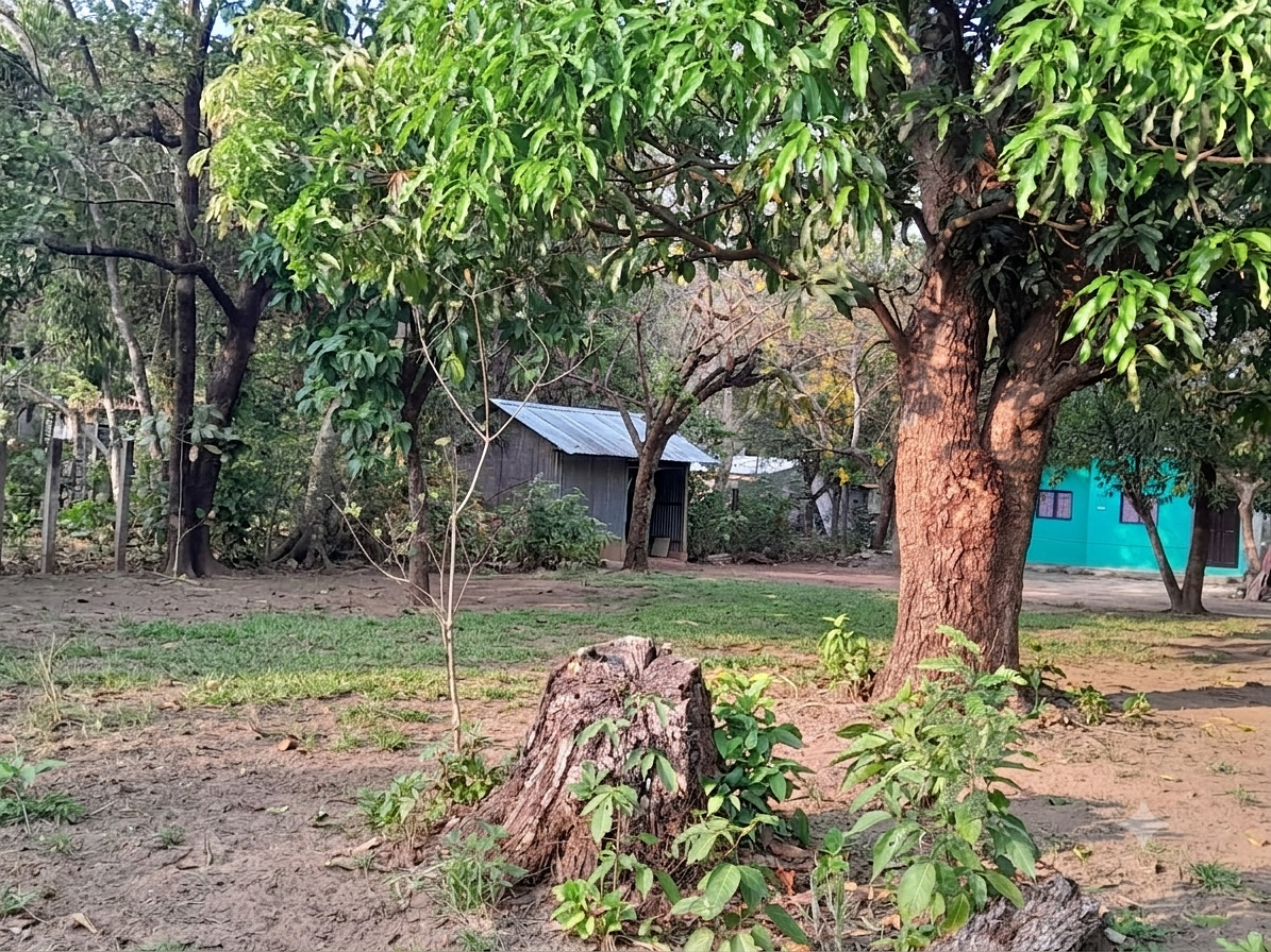 Casa em Chacala, Villa Comaltitlán, foto 6 de 6