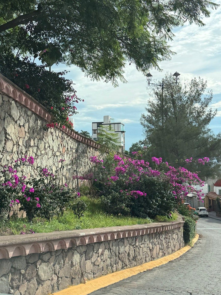 Terreno en Milenio III, Querétaro, foto 9 de 10