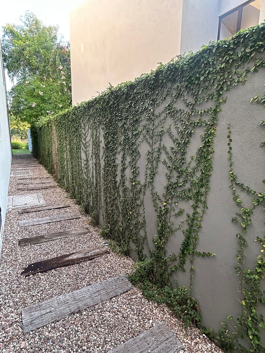 Pasillos laterales con diseño, foto 17 de 36