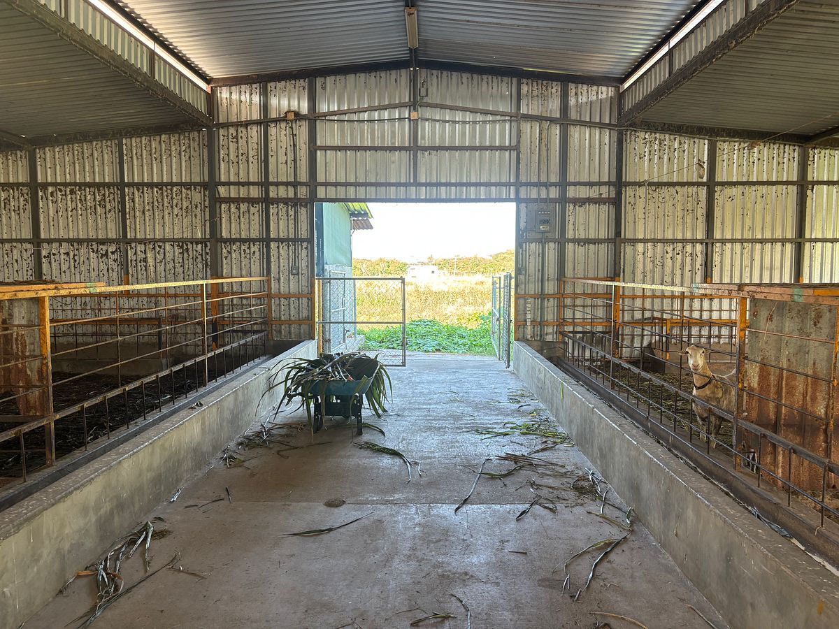 Rancho en Venta en San Juan de Abajo | 1.85 Ha con Casa e Infraestructura, foto 1 de 20