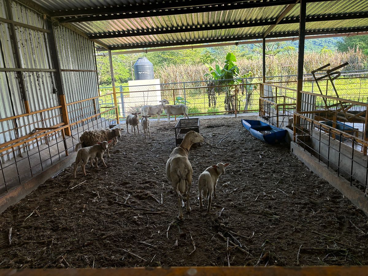 Rancho en San Juan de Abajo, Bahía de Banderas, foto 3 de 20