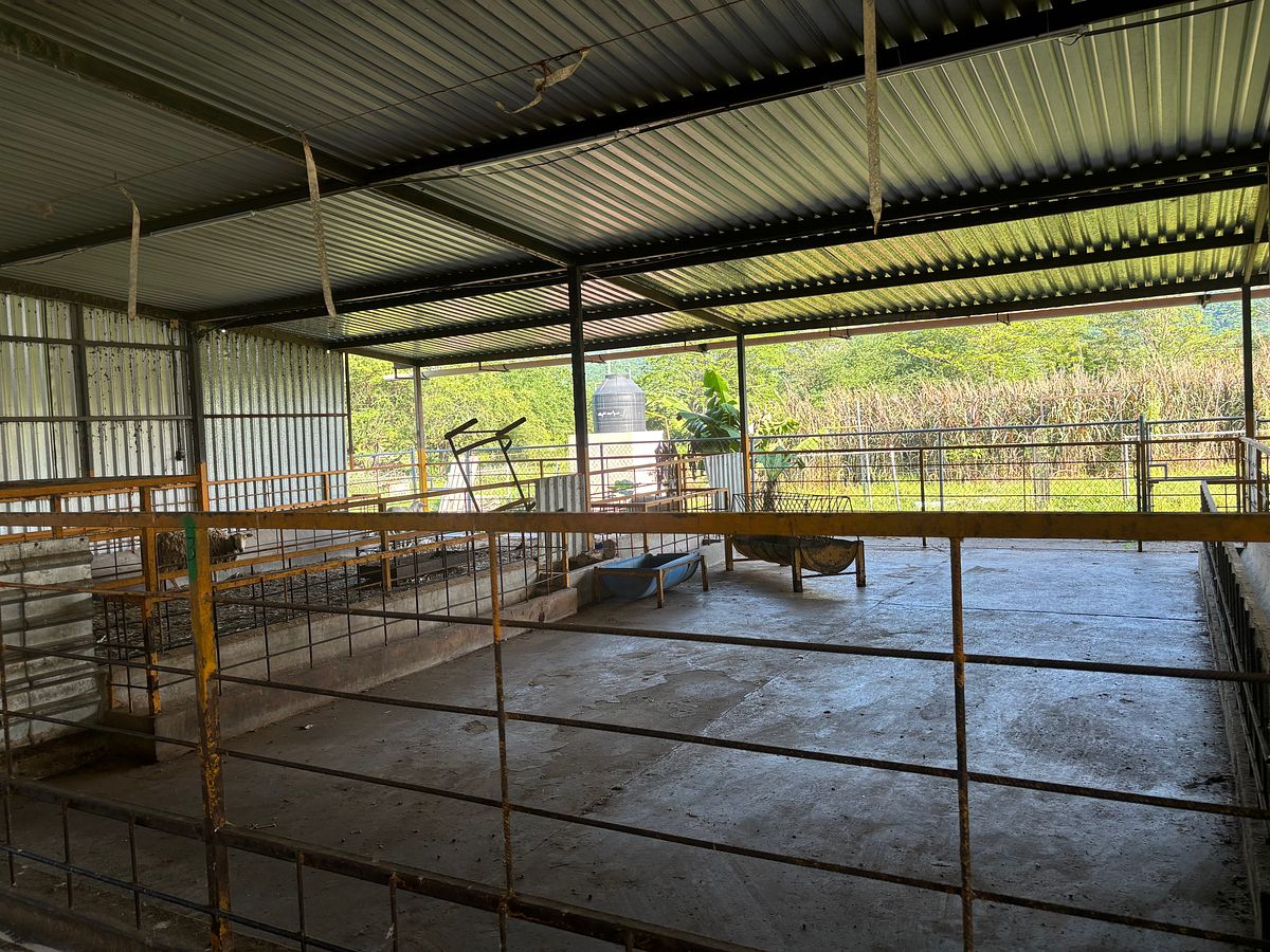 Rancho en San Juan de Abajo, Bahía de Banderas, foto 4 de 20