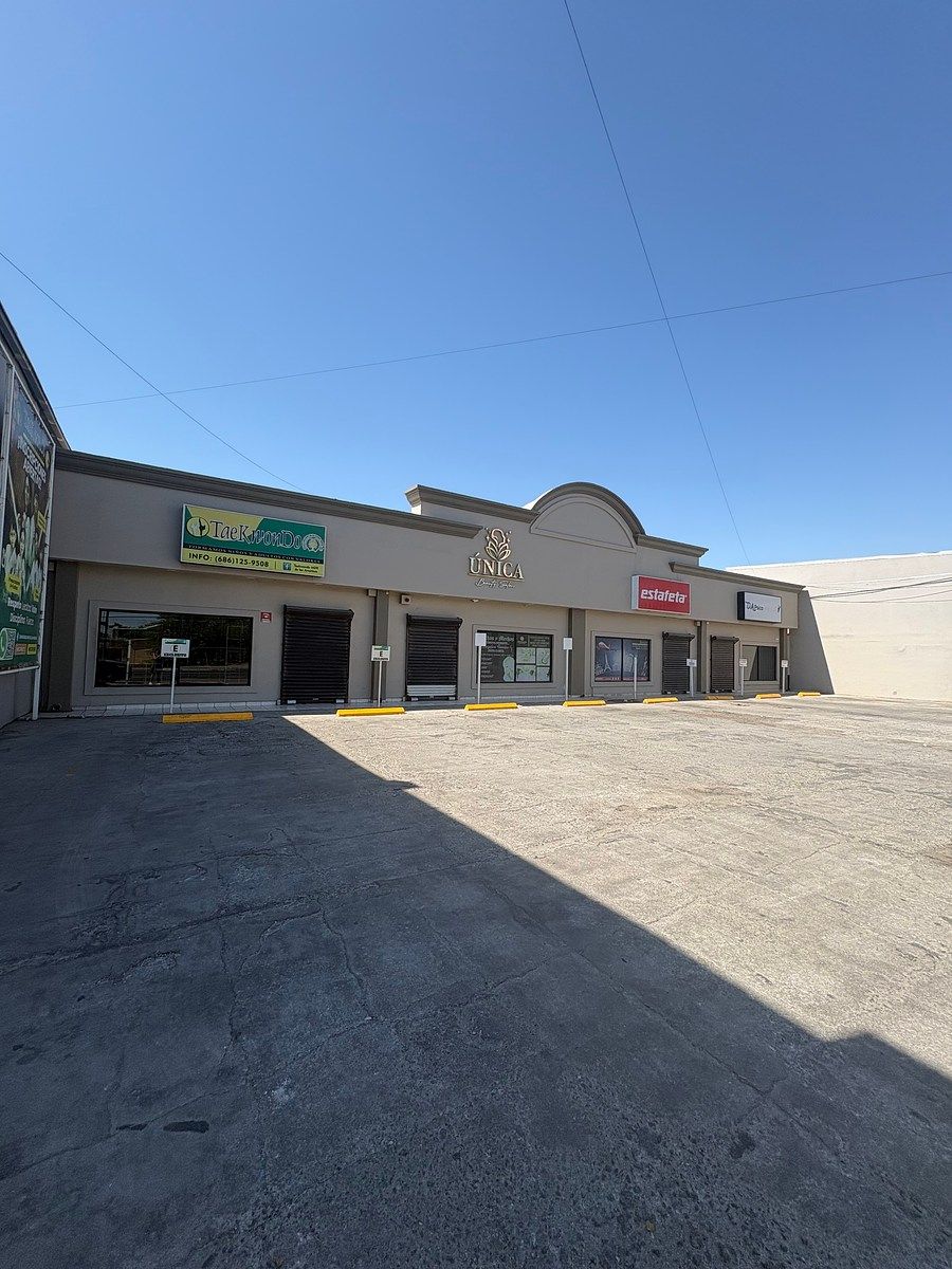 LOCAL COMERCIAL BLVD DE LAS AMERICAS, foto 1 de 5