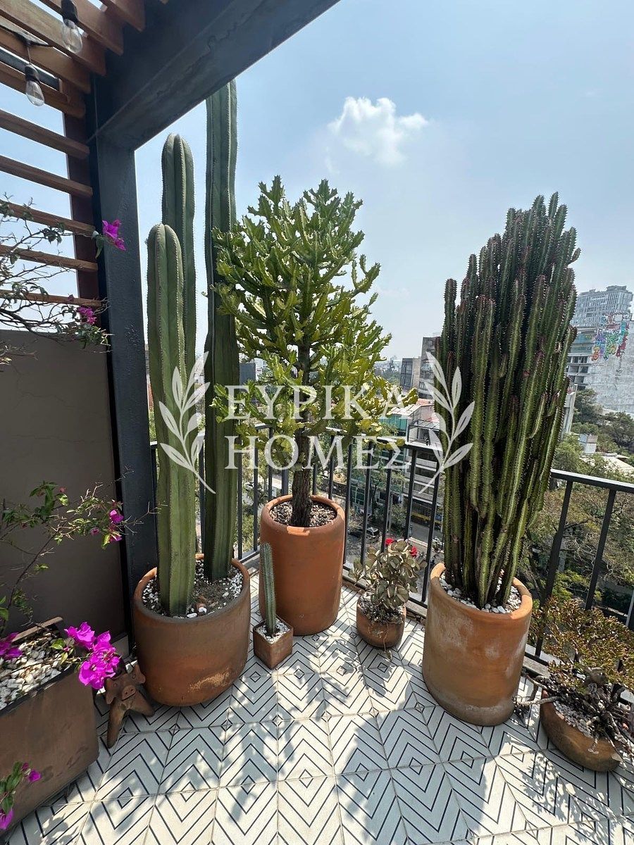Apartamento em Roma Norte, Cuauhtémoc, foto 19 de 24
