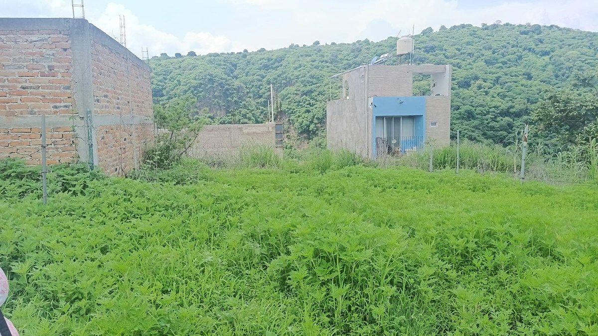 Lote em Colimilla, Tonalá, foto 5 de 10