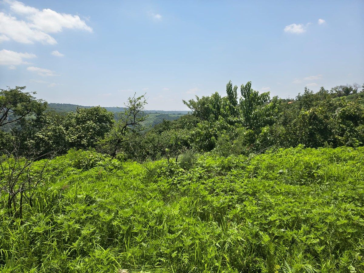 Lote em Colimilla, Tonalá, foto 9 de 10