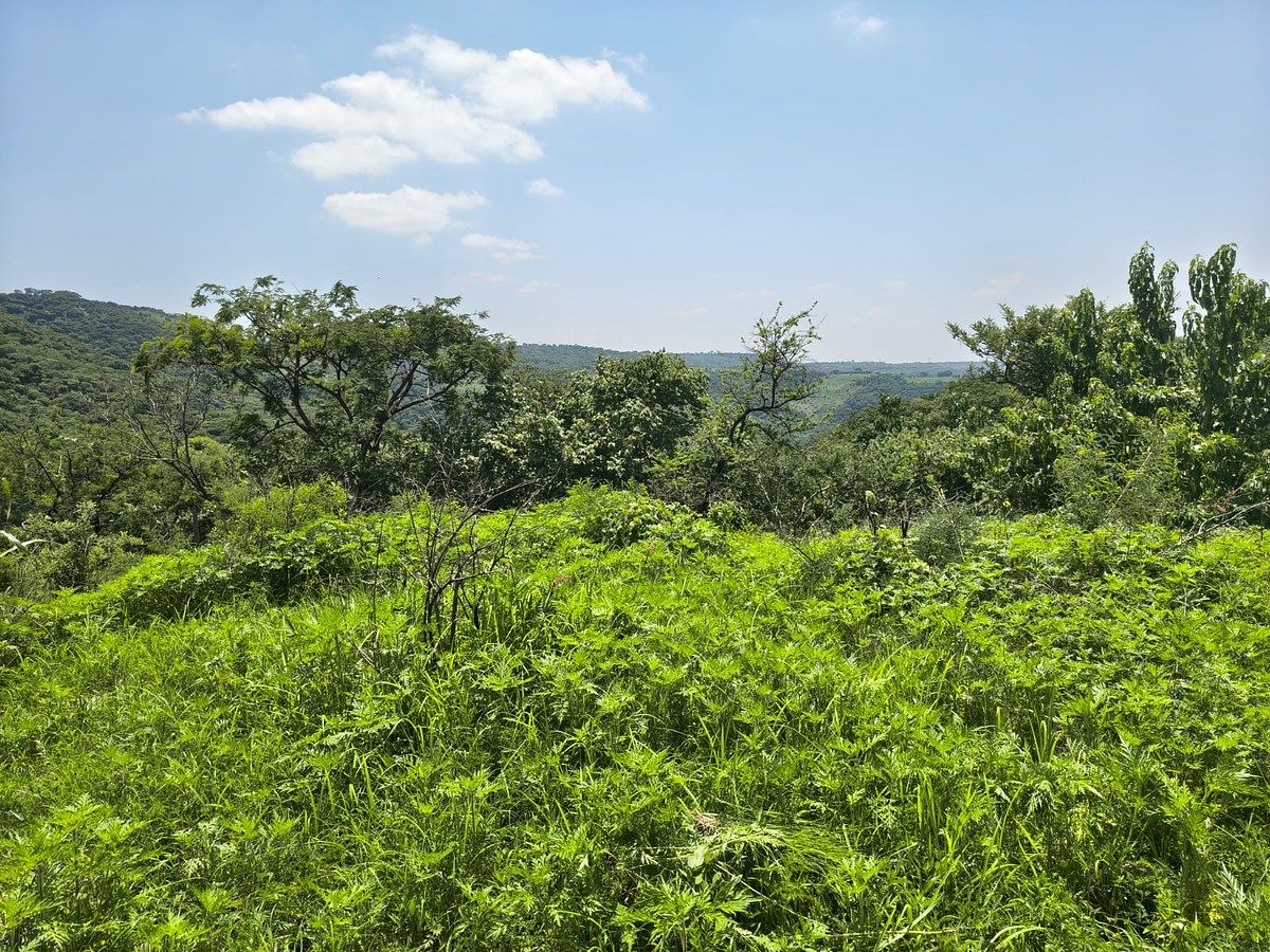 Lote em Colimilla, Tonalá, foto 10 de 10