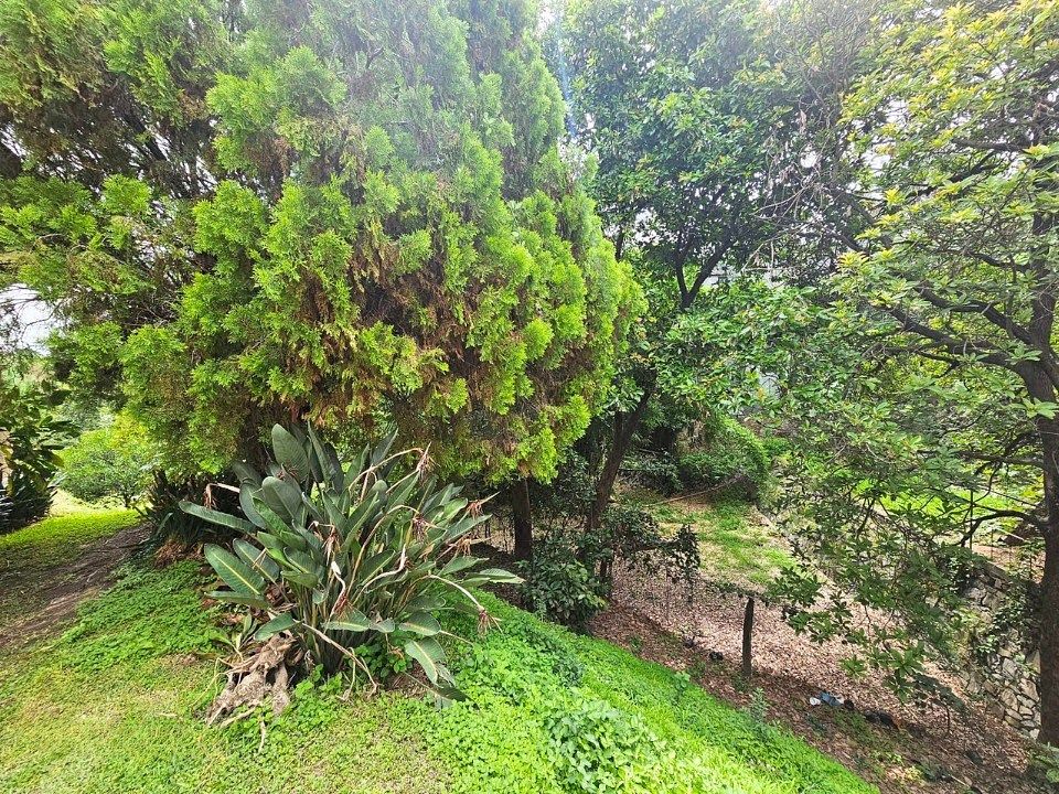 Casa em Seattle, Zapopan, foto 14 de 27