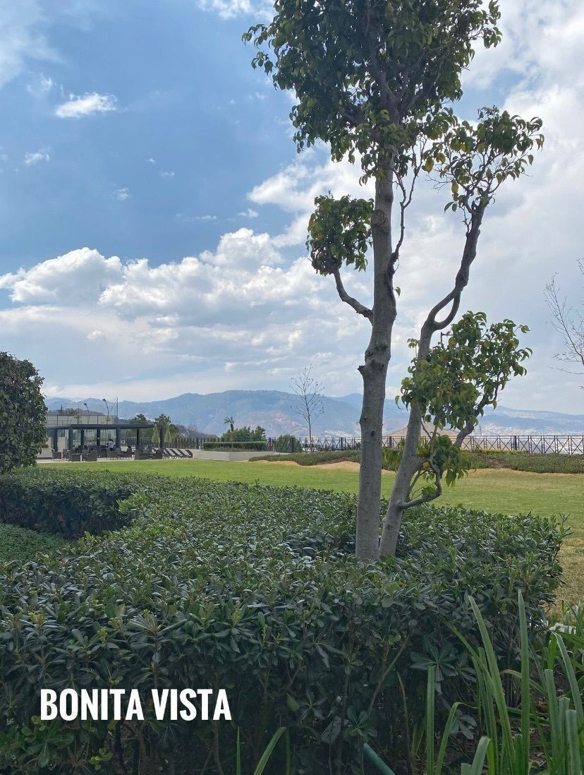 Departamento en Manzanastitla, Cuajimalpa de Morelos, foto 10 de 26
