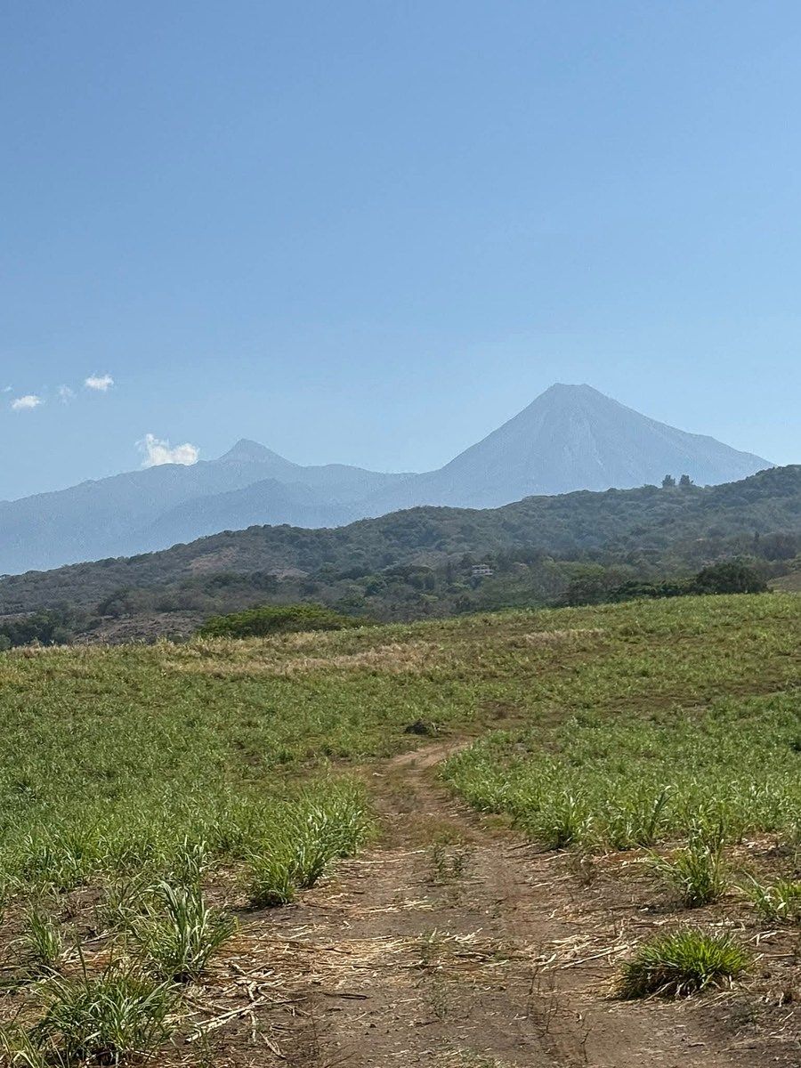 Hectáreas en Comala, Los Colomos