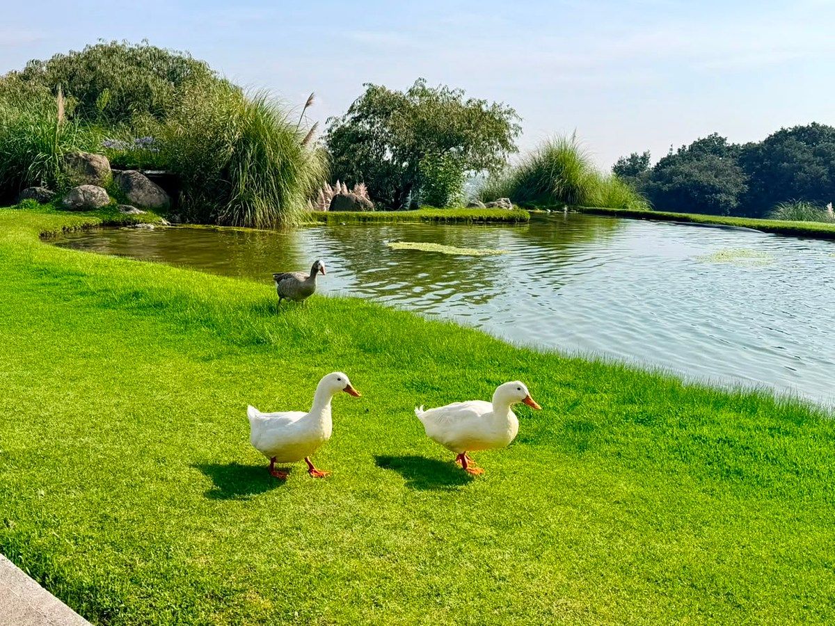 Terreno en Rancho San Juan, Atizapán de Zaragoza, foto 14 de 25