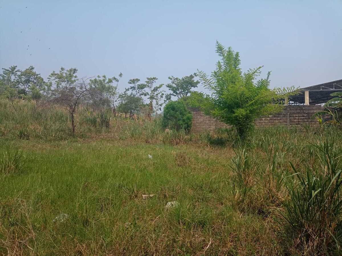 TERRENO À VENDA EM TEAPA, TABASCO, foto 1 de 9