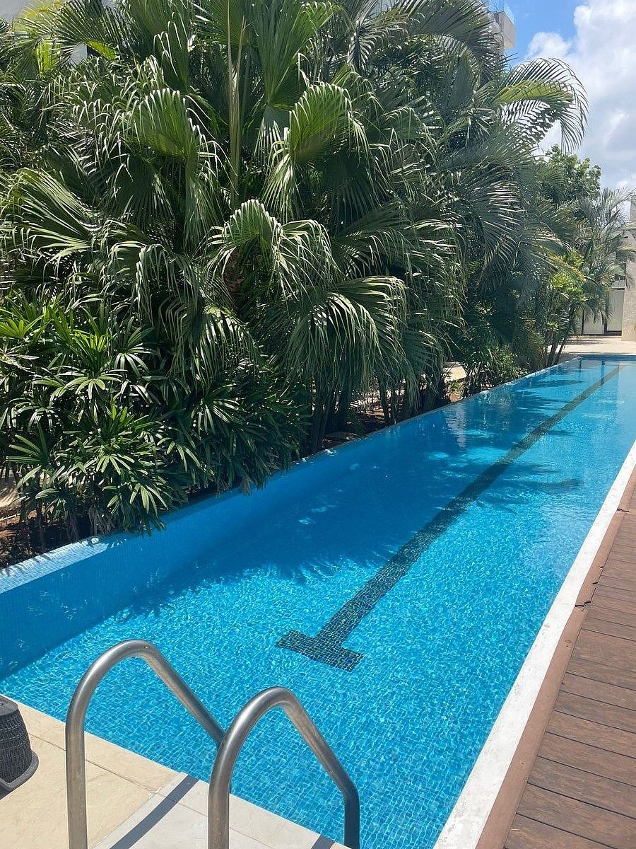 Apartment in Temozón Norte, Mérida, photo 9 of 17