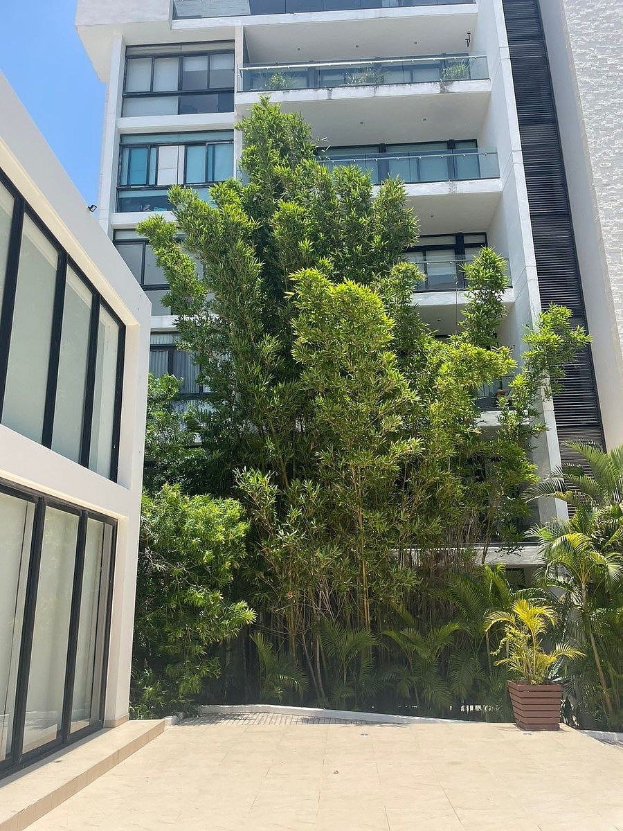 Apartment in Temozón Norte, Mérida, photo 15 of 17