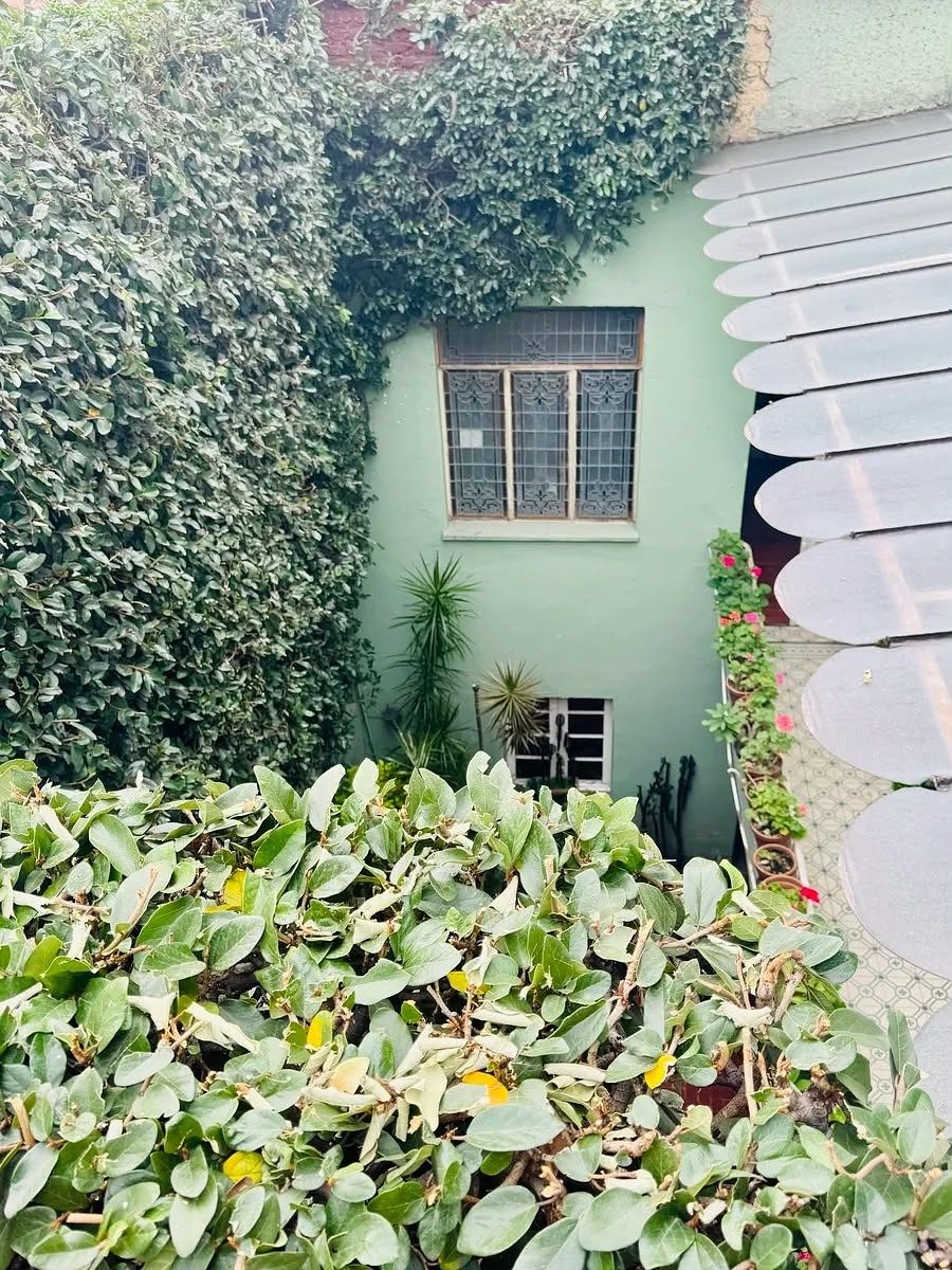 House in Roma Norte, Cuauhtémoc, photo 8 of 36