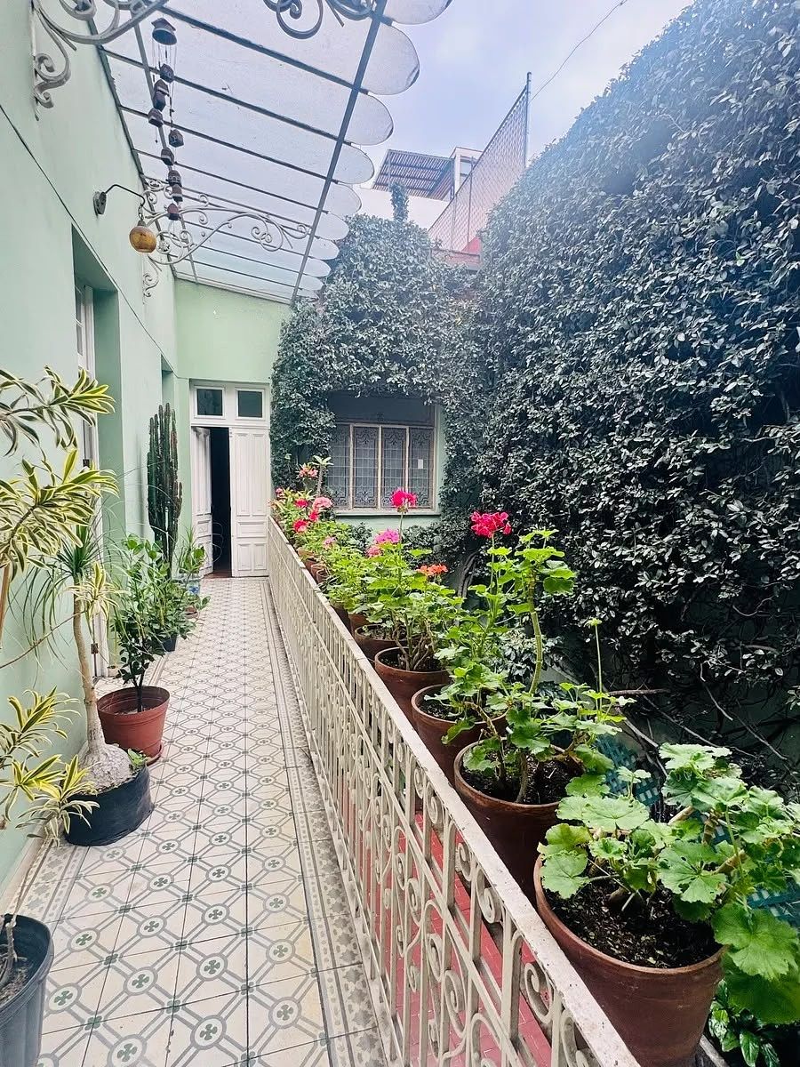 House in Roma Norte, Cuauhtémoc, photo 23 of 36