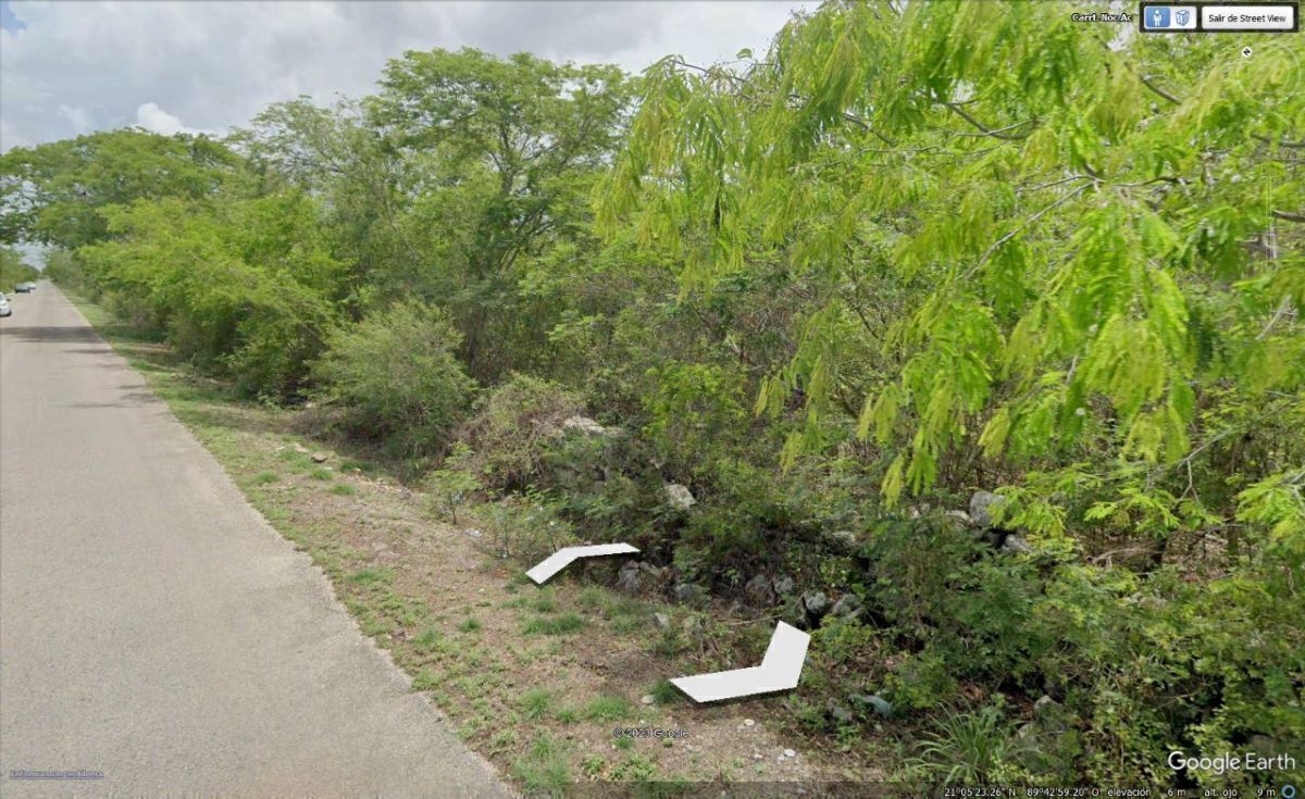 Lote em Dzityá, Mérida, foto 11 de 12