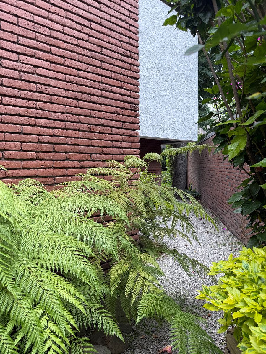 House in Gated Community in Lomas de Tecamachalco Sección Bosques I y II, Huixquilucan, photo 29 of 32