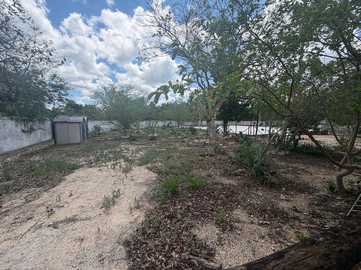 Lot in Sitpach, Mérida, photo 2 of 17