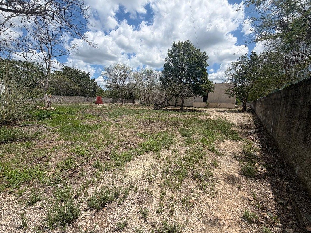 Lot in Sitpach, Mérida, photo 3 of 17