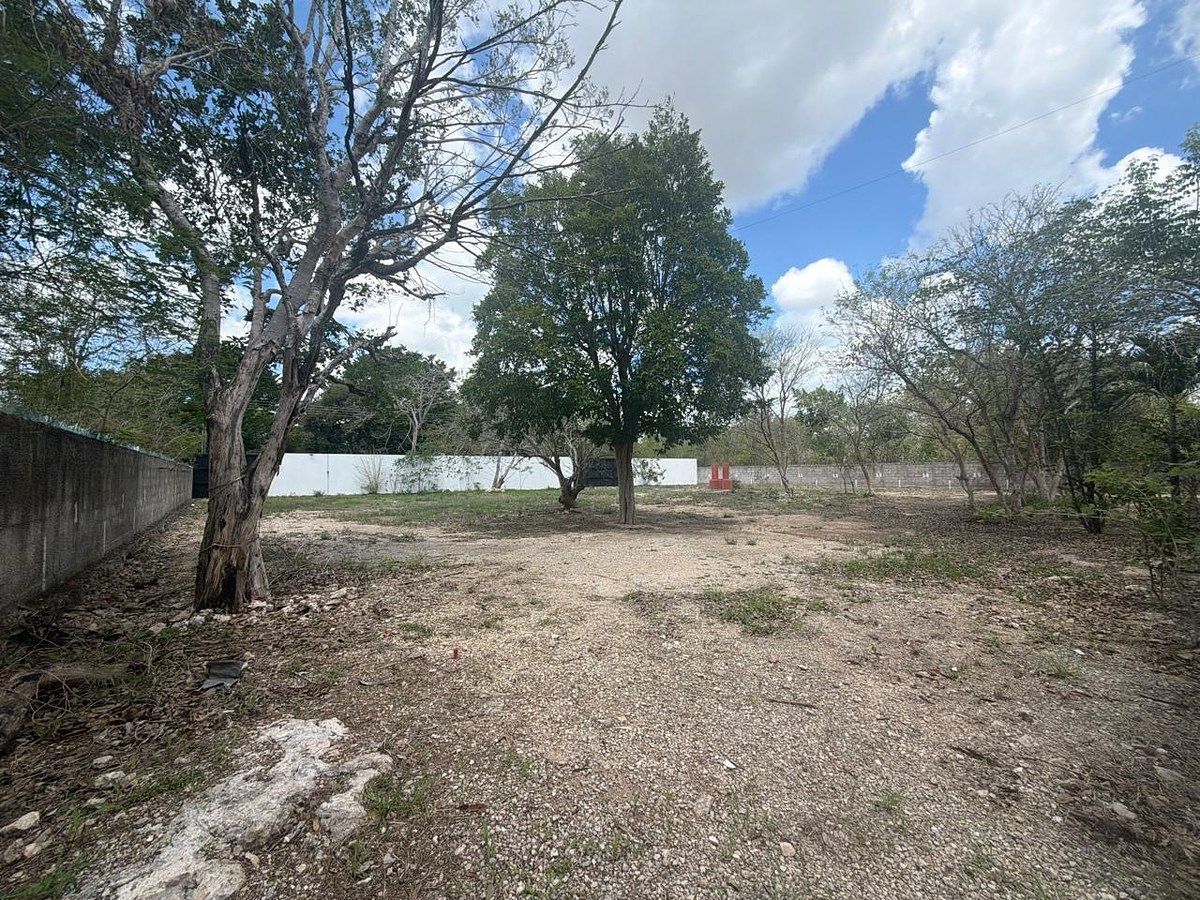 Lot in Sitpach, Mérida, photo 7 of 17
