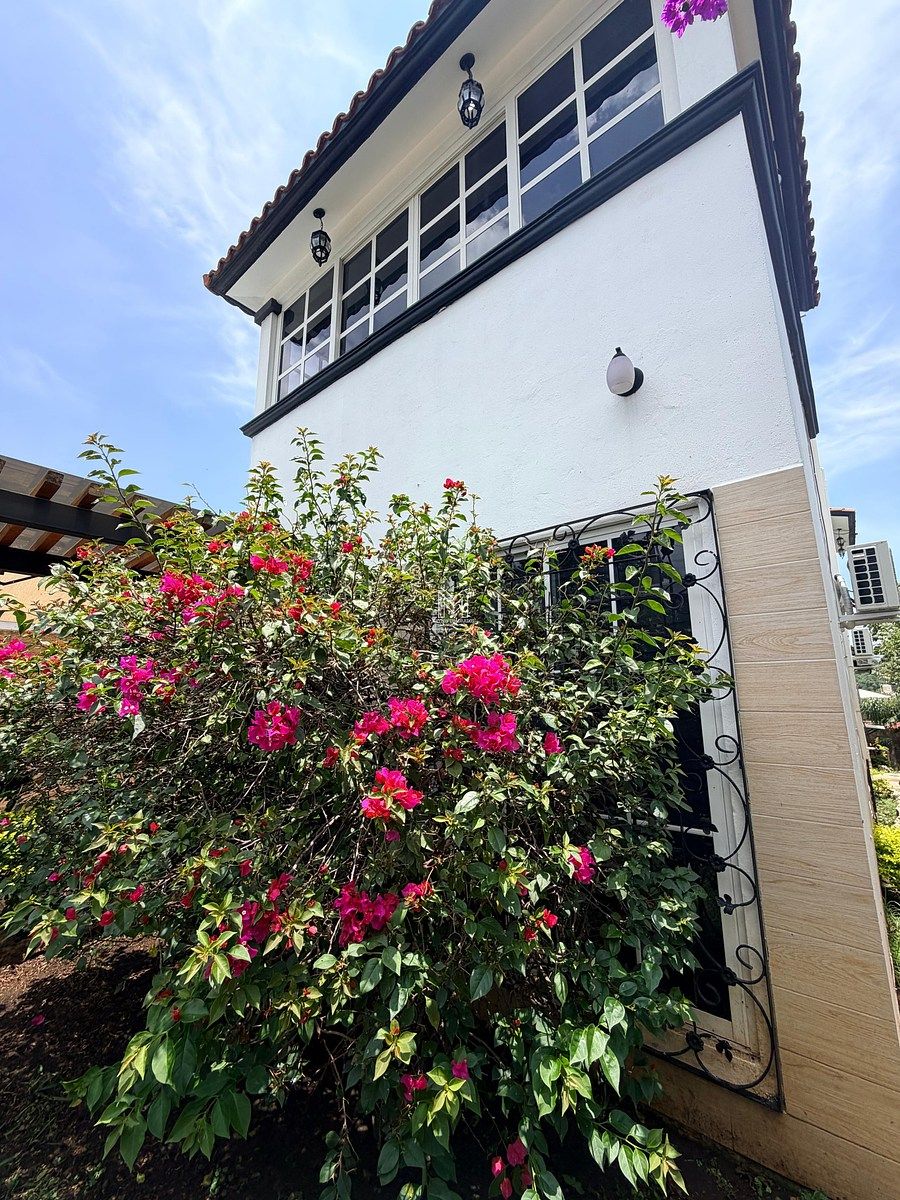 House in Berriozabal Centro, Berriozábal, photo 34 of 41