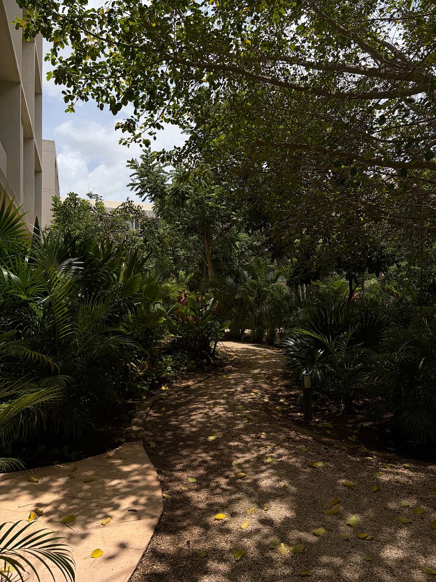 Departamento en Temozón Norte, Mérida, foto 11 de 28