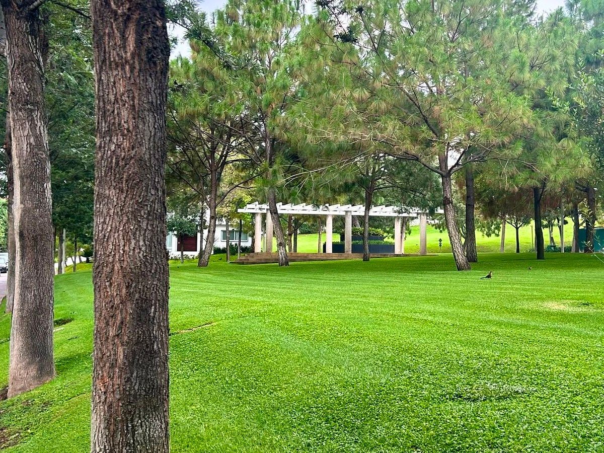 Terreno en El Alcazar Oriente, Zapopan, foto 12 de 16