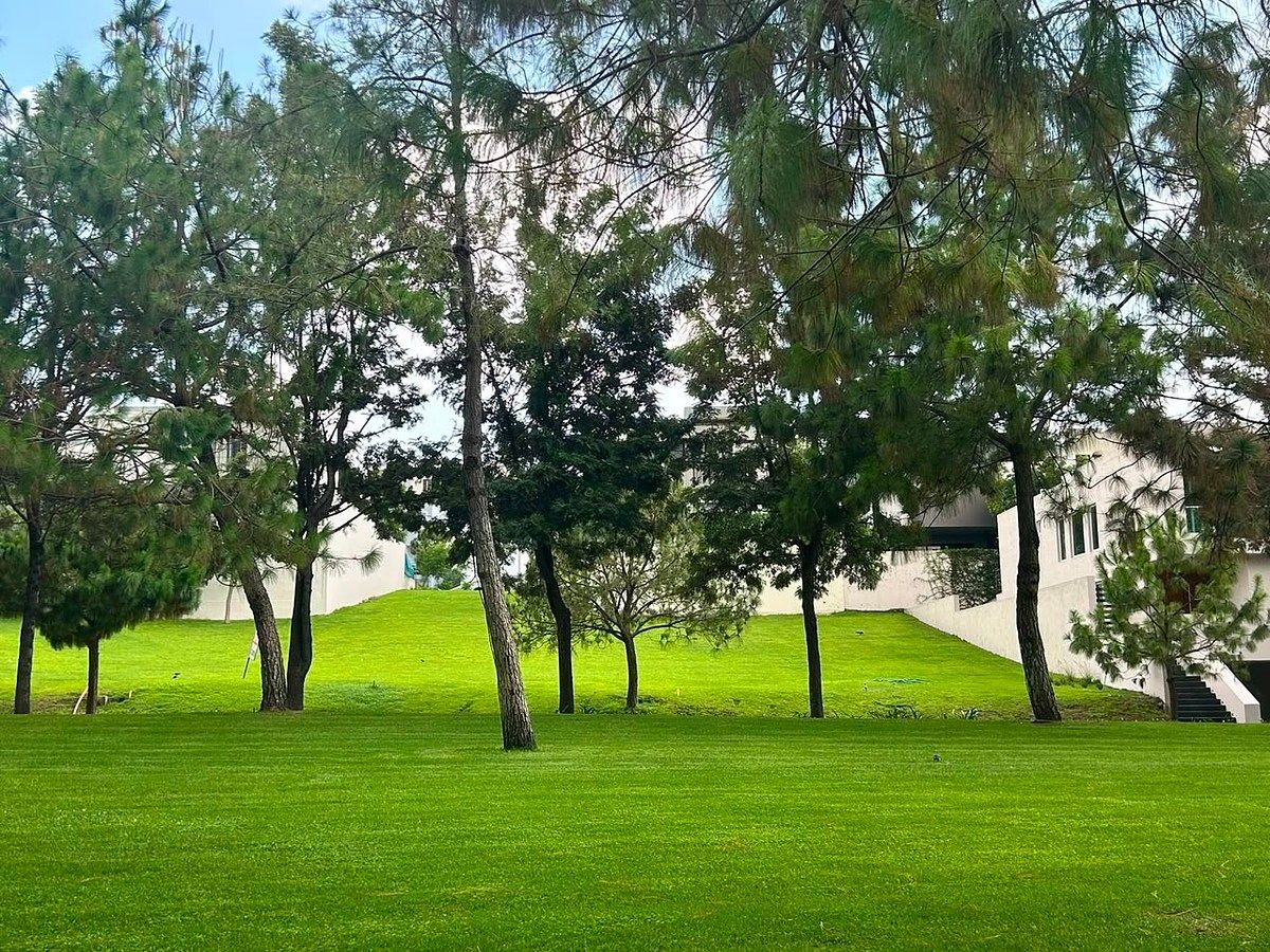 Terreno en El Alcazar Oriente, Zapopan, foto 13 de 16