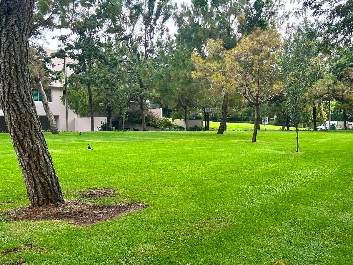 Terreno en El Alcazar Oriente, Zapopan, foto 14 de 16