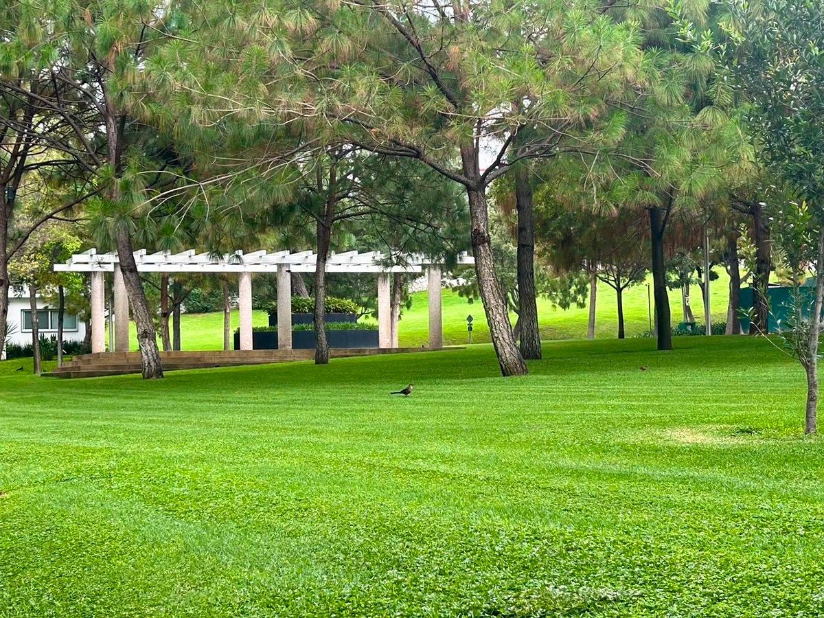 Terreno en El Alcazar Oriente, Zapopan, foto 15 de 16