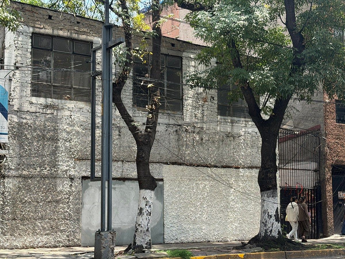 Lote em Independencia, Benito Juárez, foto 6 de 19