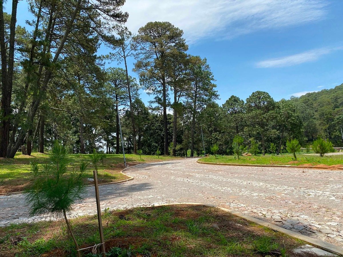 Lot in Tapalpa, Tapalpa, photo 7 of 12