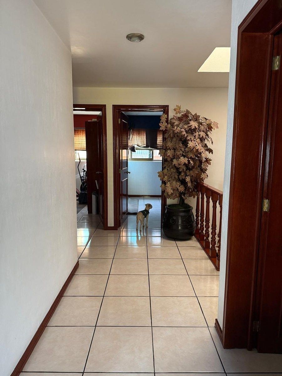 Casa en Las Alamedas, Zapopan, foto 21 de 41