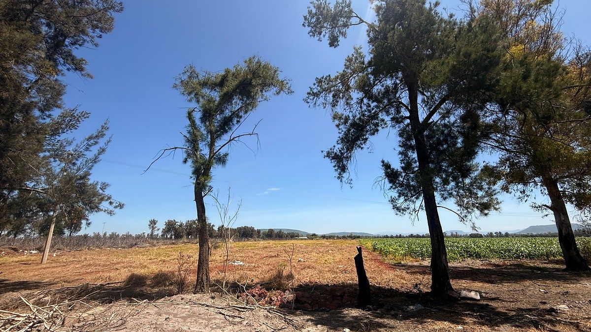 ALUGUEL DE 8 HECTARES PRÓPRIOS PARA CULTIVO MÉDIO, foto 1 de 20