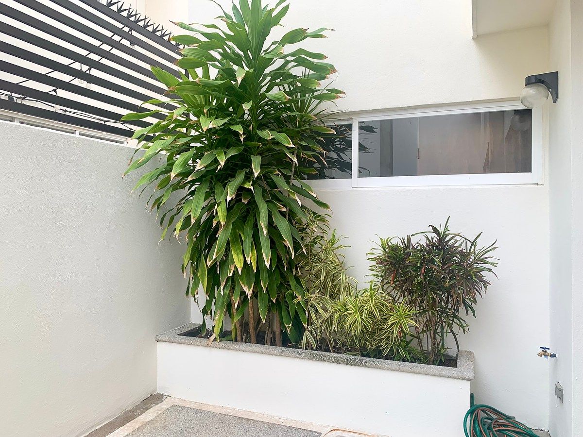 Casa en condominio en La Primavera, Puerto Vallarta, foto 2 de 34