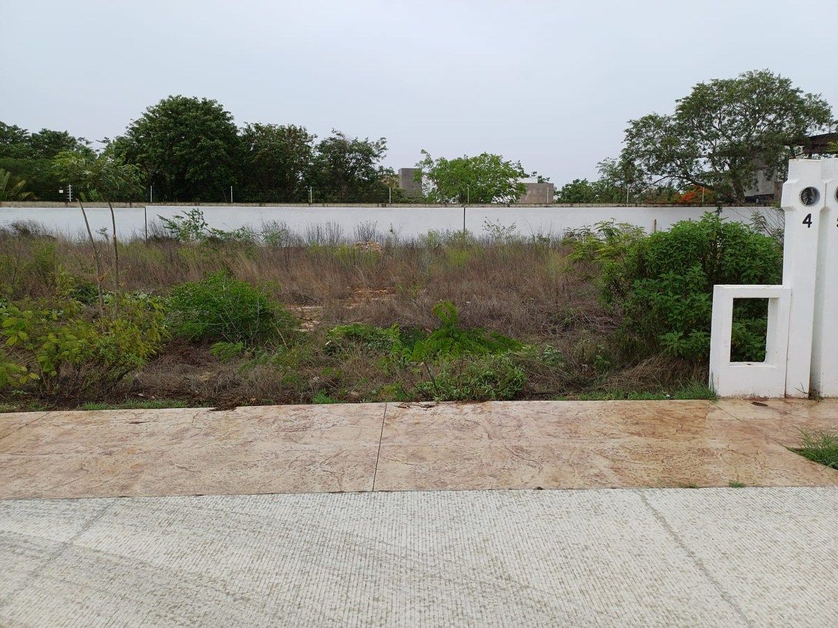 Lote em Gran San Pedro Cholul, Mérida, foto 5 de 11