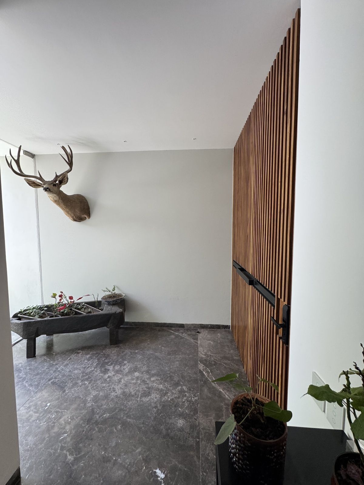 House in Gated Community in Royal Country, Zapopan, photo 8 of 36