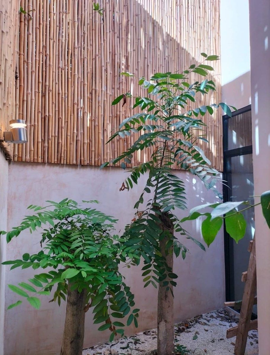 Casa en Temozón Norte, Mérida, foto 17 de 29