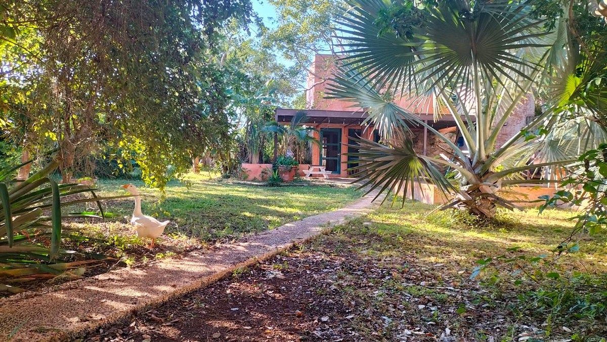 Casa en Temozón Norte, Mérida, foto 14 de 14