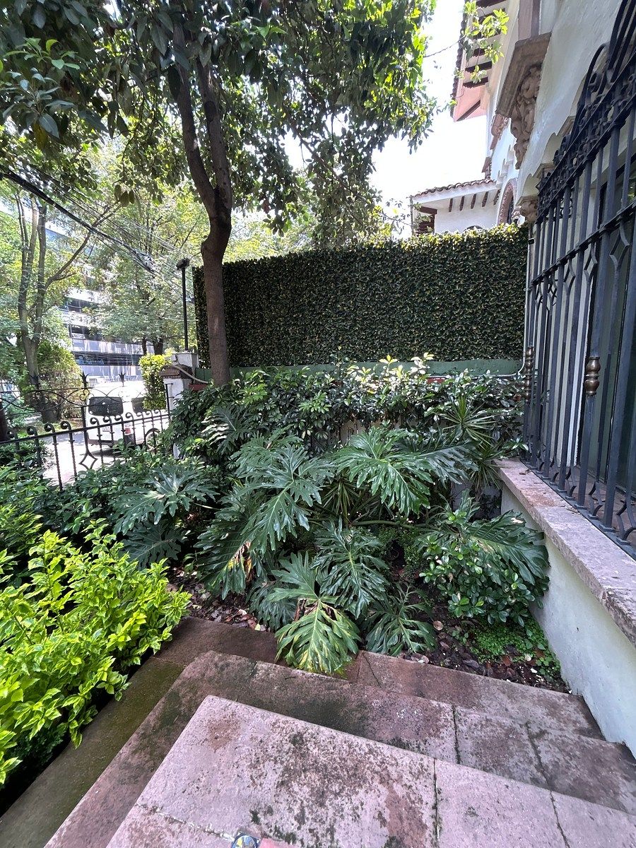 Casa en Polanco IV Sección, Miguel Hidalgo, foto 6 de 49