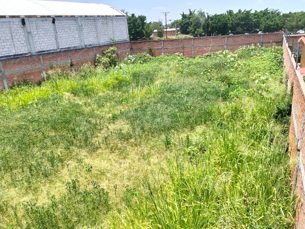 Lote em Tetelcingo, Cuautla, foto 3 de 45