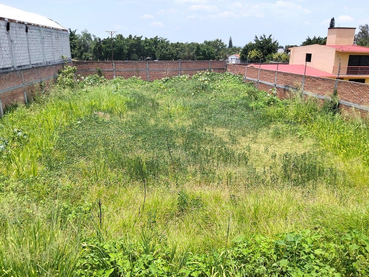 Lote em Tetelcingo, Cuautla, foto 33 de 45